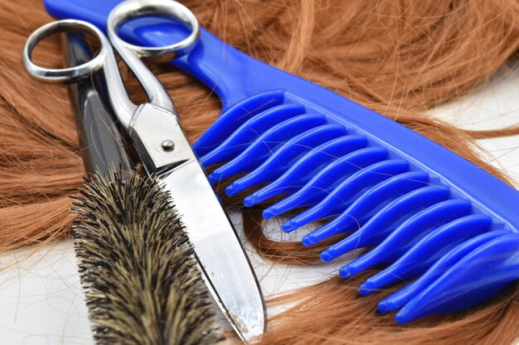 meilleur outil de toilettage